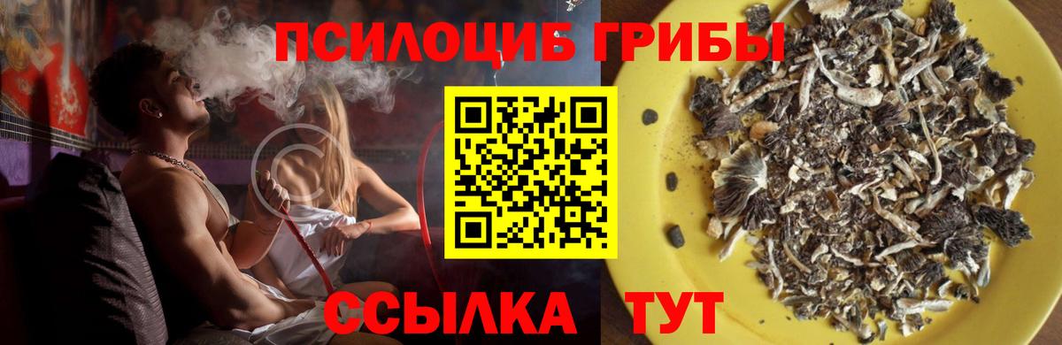 Галлюциногенные грибы прущие грибы Павловский Посад