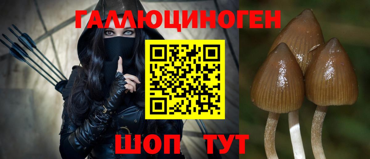 Галлюциногенные грибы прущие грибы  Вход с VPN  Псилоцибиновые грибы прущие грибы  Павловский Посад 